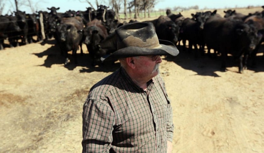 Weekly genetics review: Gardiner Ranch’s sale rises from the ashes