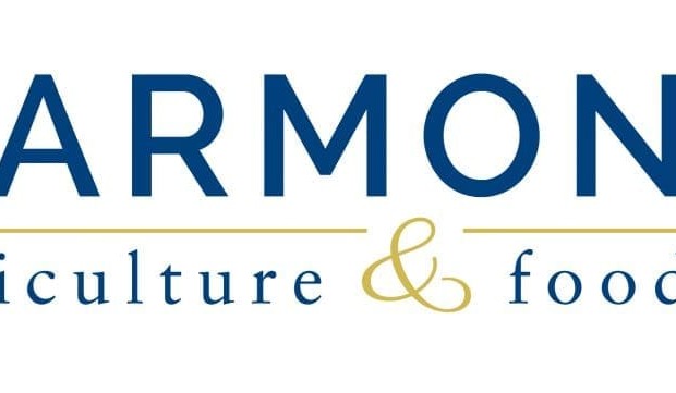 Chinese-backed Harmony goes into liquidation