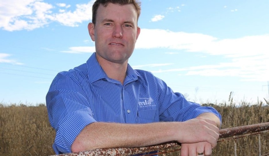 $46m industry impact identified in early beef language reforms