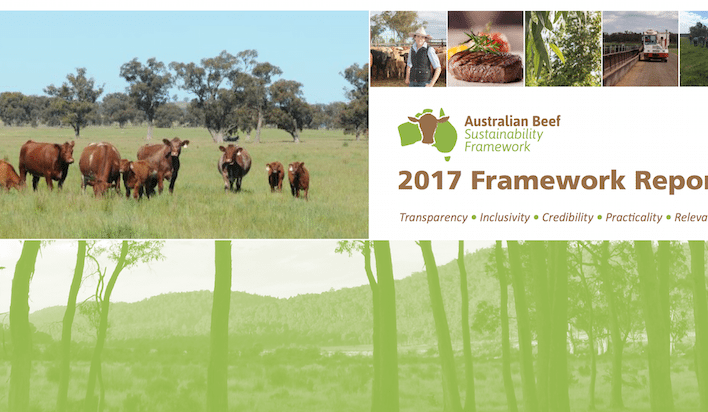 First framework for beef sustainability released