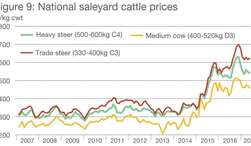 MLA April projections update: Recent rain rejuvenates cattle market