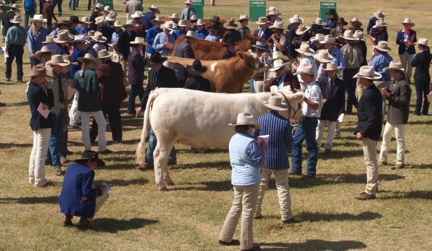Study tour opportunity for young seedstock industry stakeholders