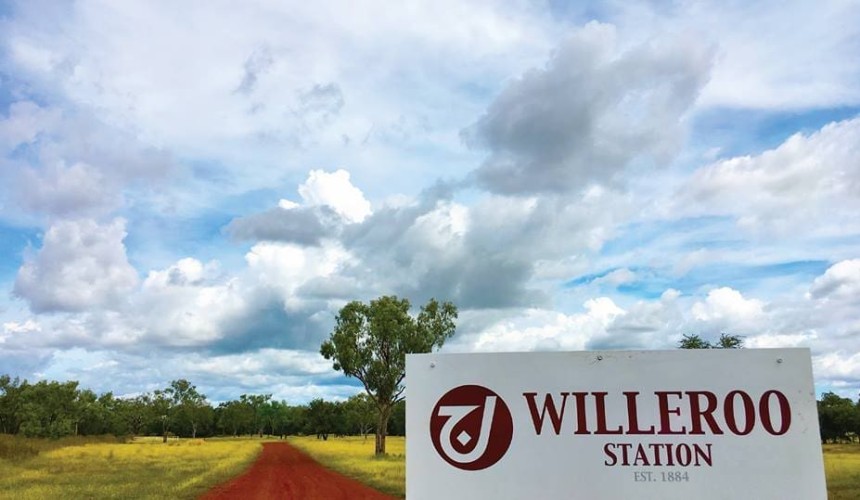 Expressions of interest sought for NT’s Willeroo Station