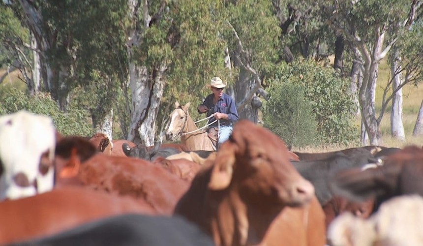 AITC: Ag training for high school students, but not as you know it