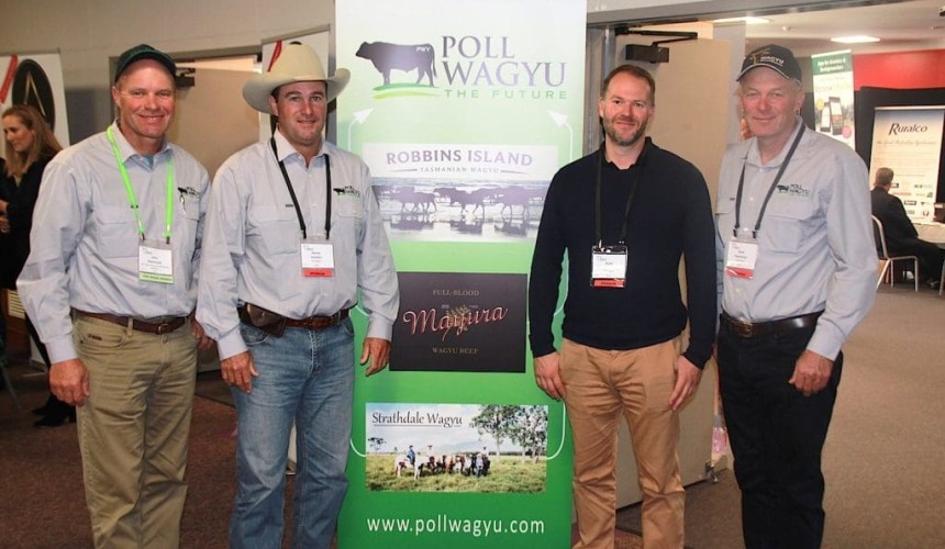 Three commercial breeders pool genetics to create Poll Wagyu stud