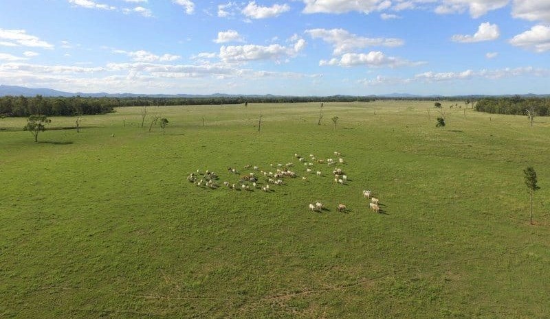 Property: Large CQ breeder block makes $15m, in ‘benchmark’ sale