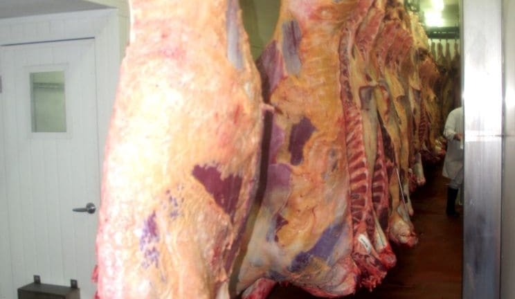 Are Australian carcase weights getting too heavy for market requirements?
