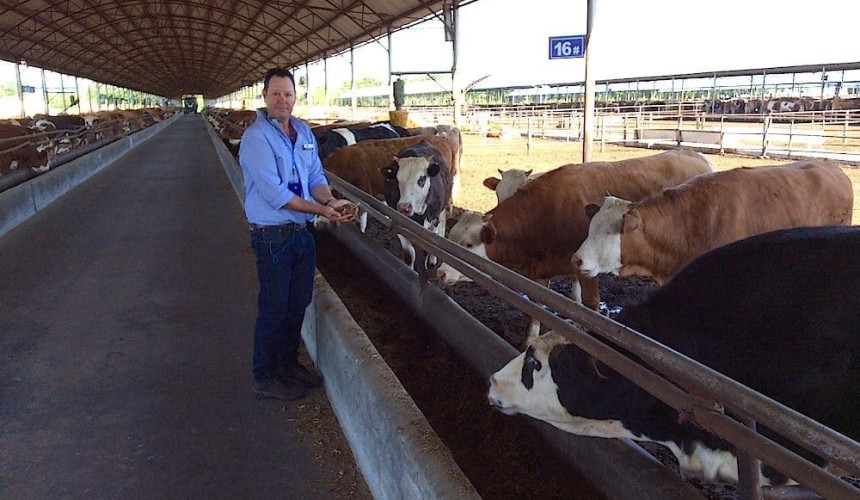 China’s live export infrastructure development in overdrive
