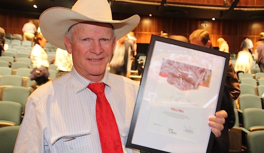 ‘Quiet achiever’ of the Wagyu industry honoured