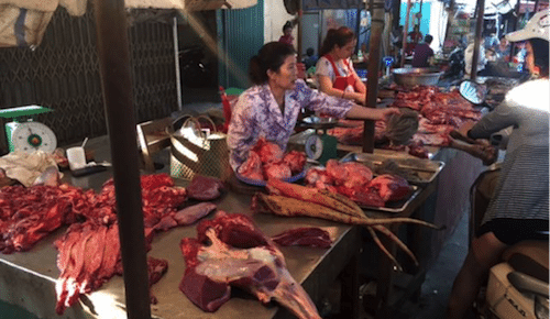 SE Asia Report: Downward pressure on northern cattle prices
