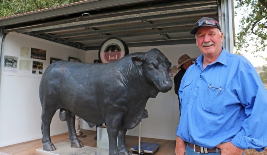 Weighing up a piece of King Ranch cattle history at Reiland