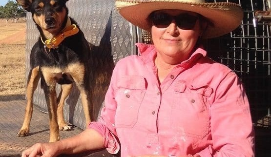 Top Kelpie sells to $12,000 at National Working Dog sale + VIDEO