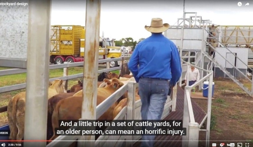 Video stresses value, safety in well-designed cattle yards