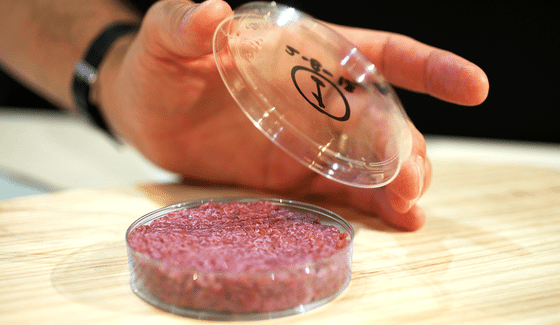 Scale may be the real barrier to lab-produced, cultured meat