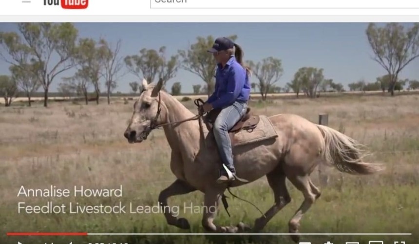 Lotfeeders share their personal stories and industry passion via videos