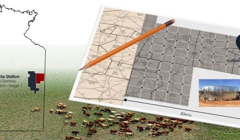 NAPCo development project aims to unlock Barkly’s productivity potential