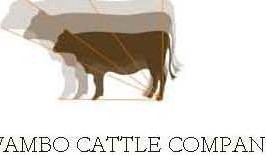 Top 25 Lotfeeders: No. 23 Wambo Feedlot