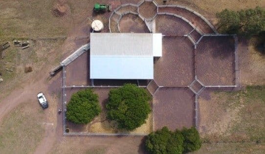 Five ‘tactical’ reasons for NSW producers’ $170,000  yards investment