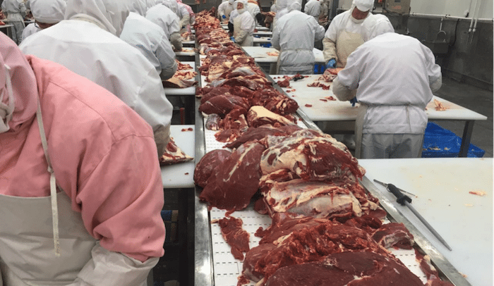 The great divide: Are some meat processors being unfairly advantaged by JobKeeper?