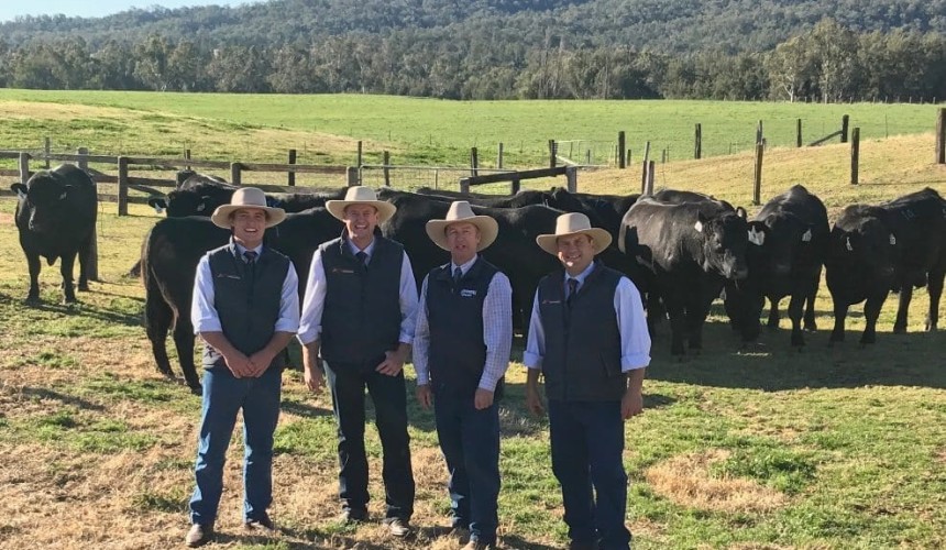 Weekly genetics review: More million dollar bull sales, but dry arouses concern