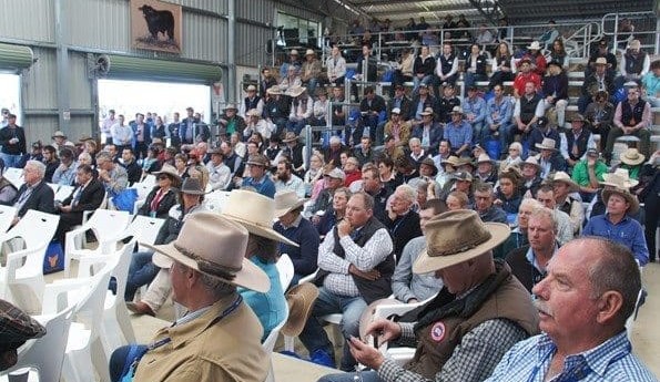 Yulgilbar Beef Expo: Staying ahead of the game
