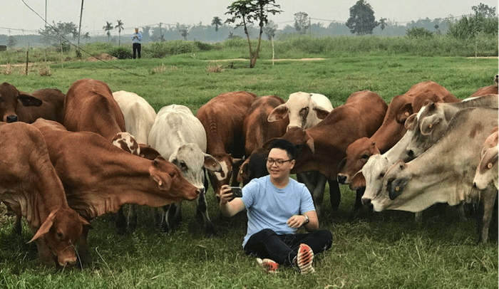 SE Asia Report: AUD adds to importer strain | Vietnam increases buffalo imports | Ethiopia feedlot project