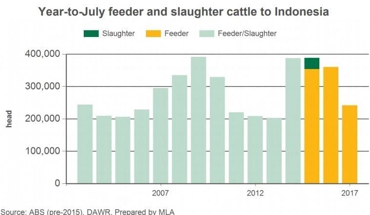 Domestic and in-market challenges limit July live exports to 40,000 head