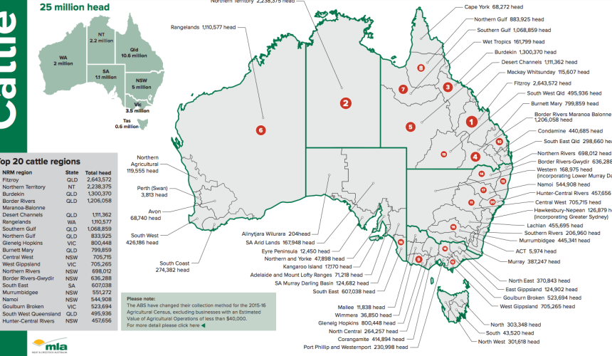Australia’s 20 largest regions for cattle population