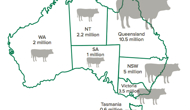 Aust beef production worth over $16 billion a year