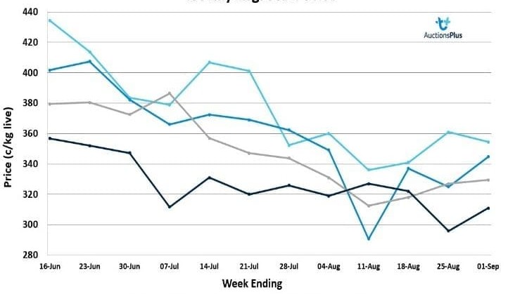 Sharp rise in AuctionsPlus clearance