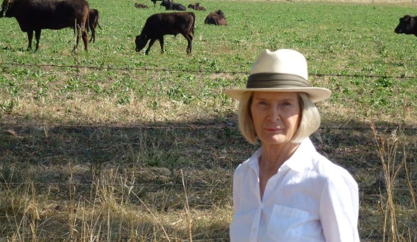 Wagyu investment surge continues, with large Vic Fullblood herd shifting to Qld