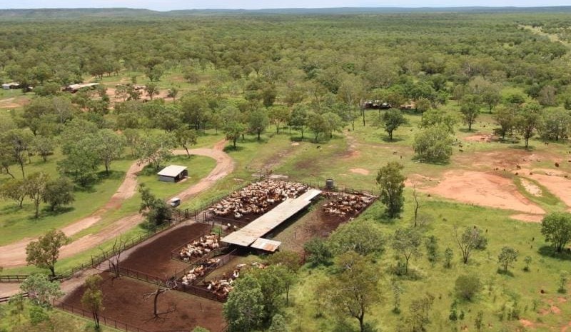 Carbon buyer purchases NT Conways Station for $14.5m bare