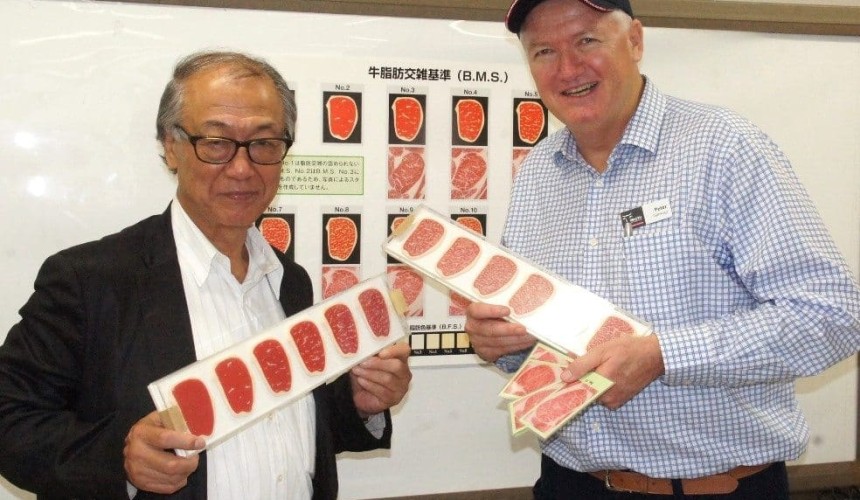 Marbling measurement challenge in grading Wagyu in Australia versus Japan