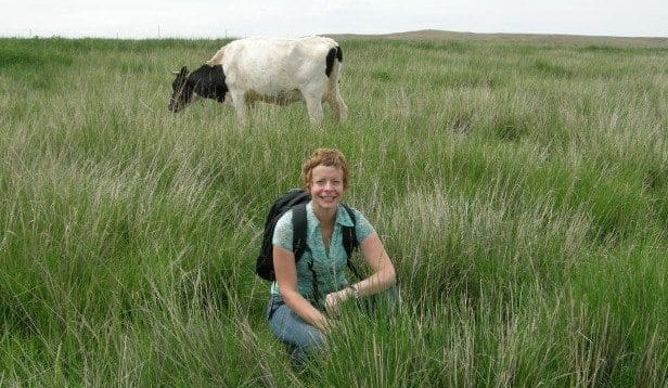 Scientist-farmer research backs spot-spraying to control African lovegrass