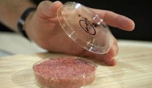 Why are some of the world’s largest meat processors investing in lab-grown meat?