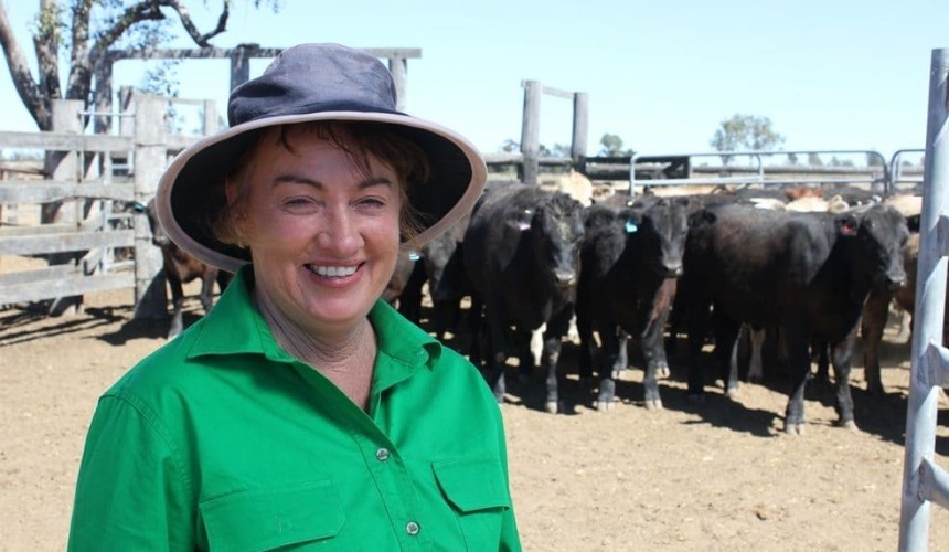 Downs producers feature in QLD’s best MSA supply awards + VIDEOS
