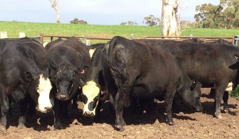 Weekly genetics review: Quantifying the impact of hybrid vigour