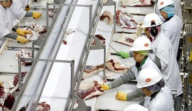 Visas for overseas workers in the red meat processing sector need review