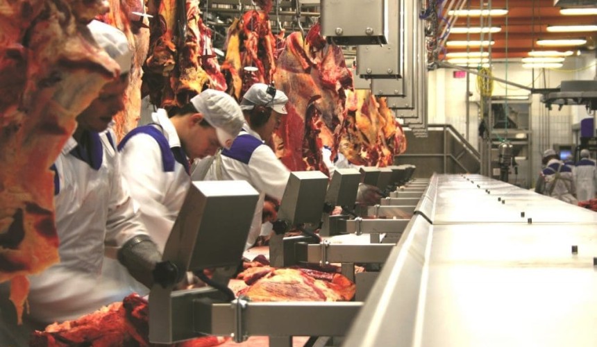 Labour pressures forcing global meat processors to invest in efficiency