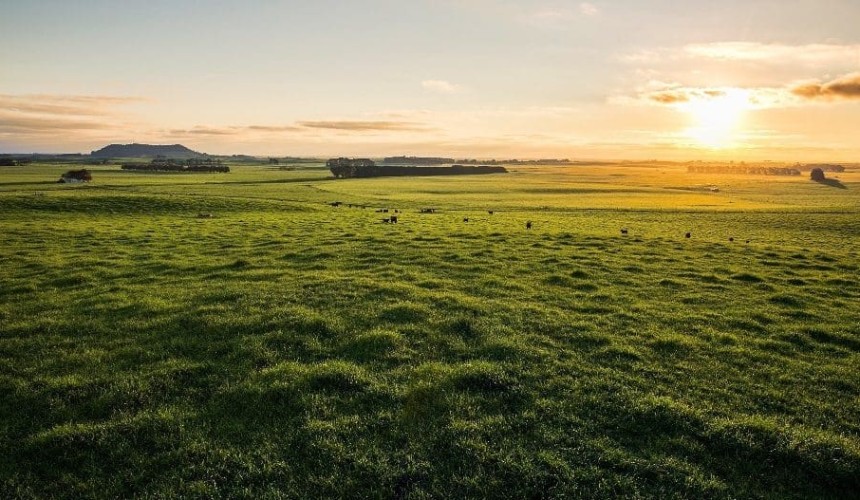 SA’s Mt Schanck station could make $50m-plus