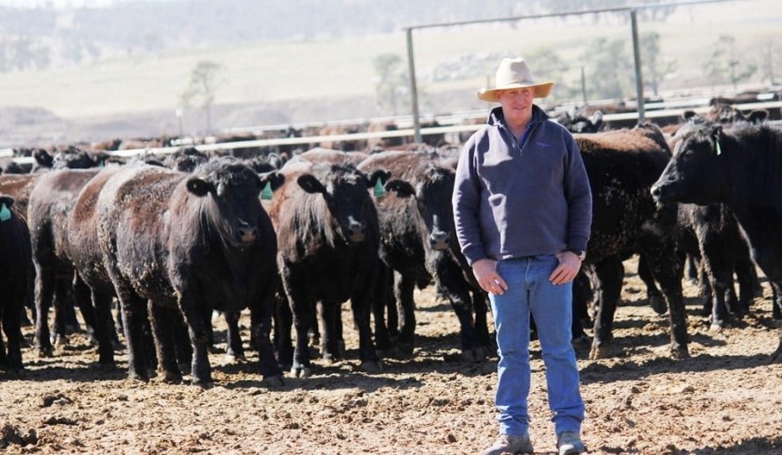 COVID challenges push feedlot industry’s SmartBeef conference online