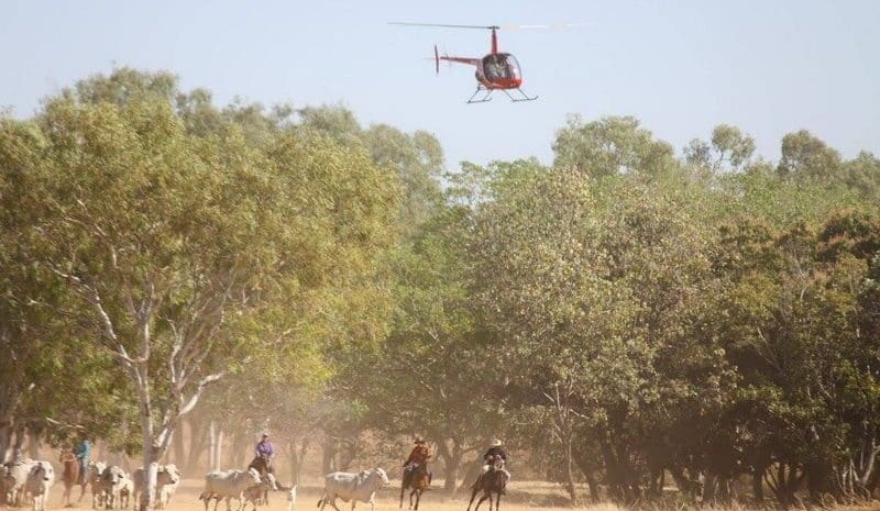 Property: Gina adds to NT assets with Willeroo purchase