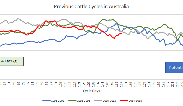 Where is the 2018 cattle market heading? Look for October low, suggests report