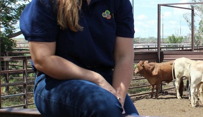 Cattle Health Declarations: When and how should they be used?