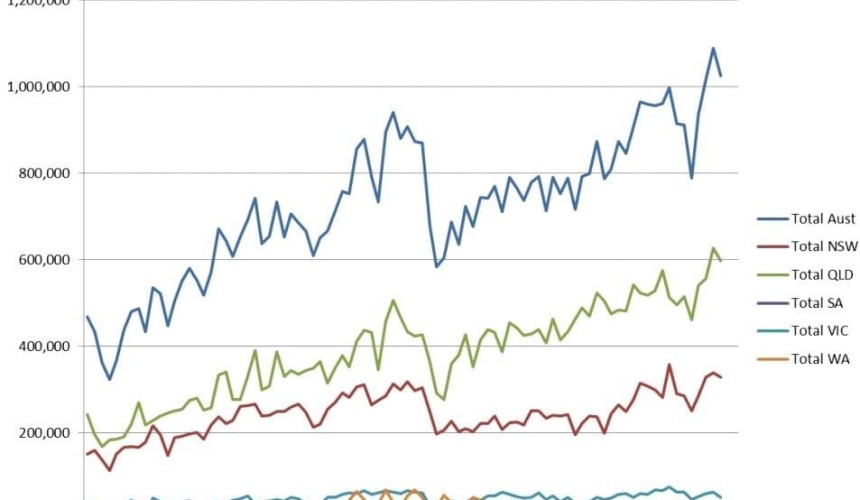 Grainfed cattle numbers drop 6pc in September quarter