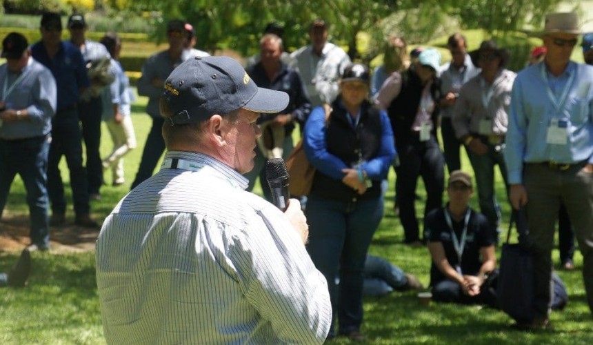 Killara sees sharp productivity impact from pre-vaccination