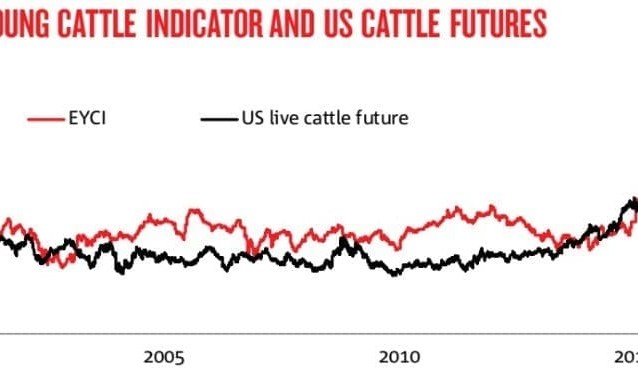 Sharp lift in cattle prices drives agri-index higher