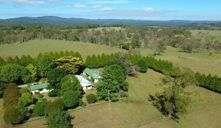 Weekly Property Review: New England focus for Wagyu mini property boom