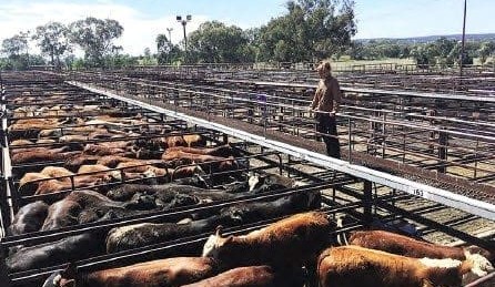 $5 million upgrade announced for Inverell yards