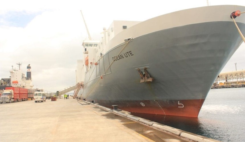 Wellard reports third consecutive full-year profit